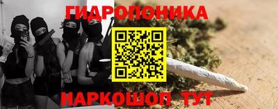 прущий лед Будённовск