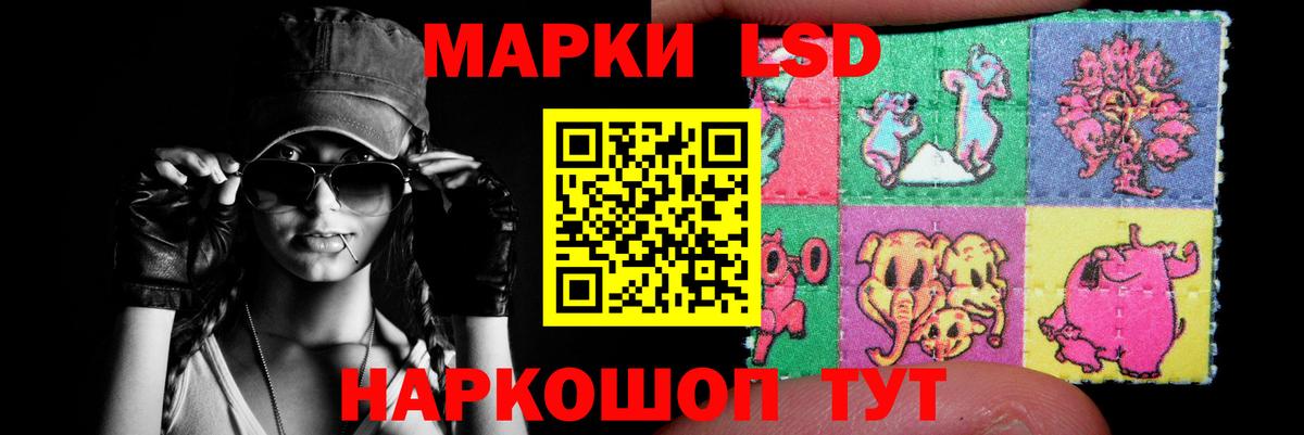 МЕФ Малоярославец
